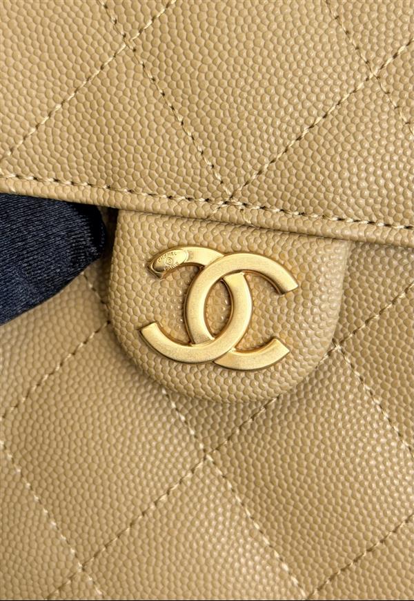 2026131204547466 850